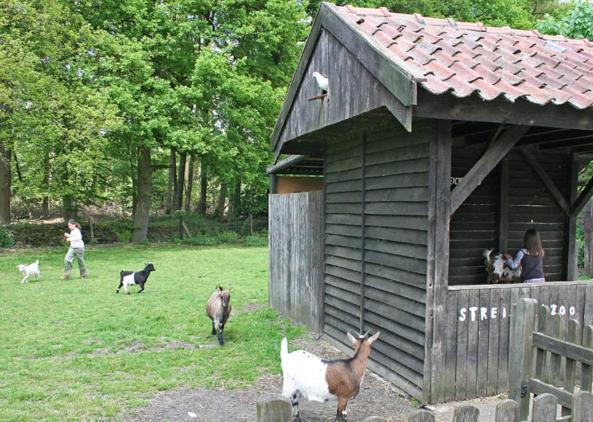 Land Gut Hotel Ritter Stadtlohn Екстериор снимка